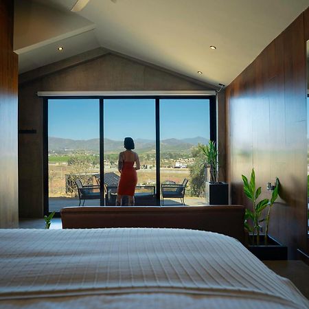 Bajo Estrellas Hotel Contemporaneo Valle de Guadalupe Ngoại thất bức ảnh