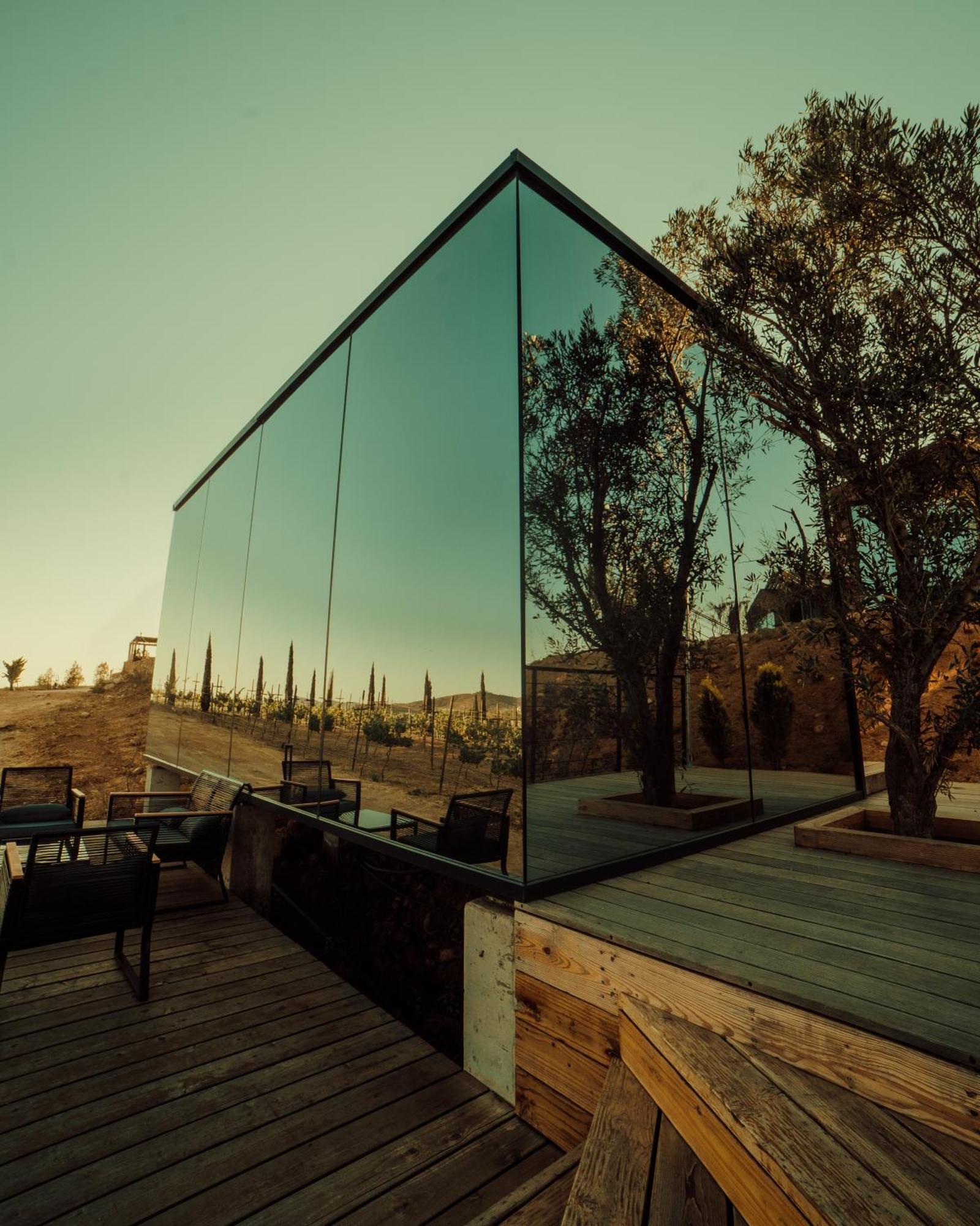 Bajo Estrellas Hotel Contemporaneo Valle de Guadalupe Ngoại thất bức ảnh