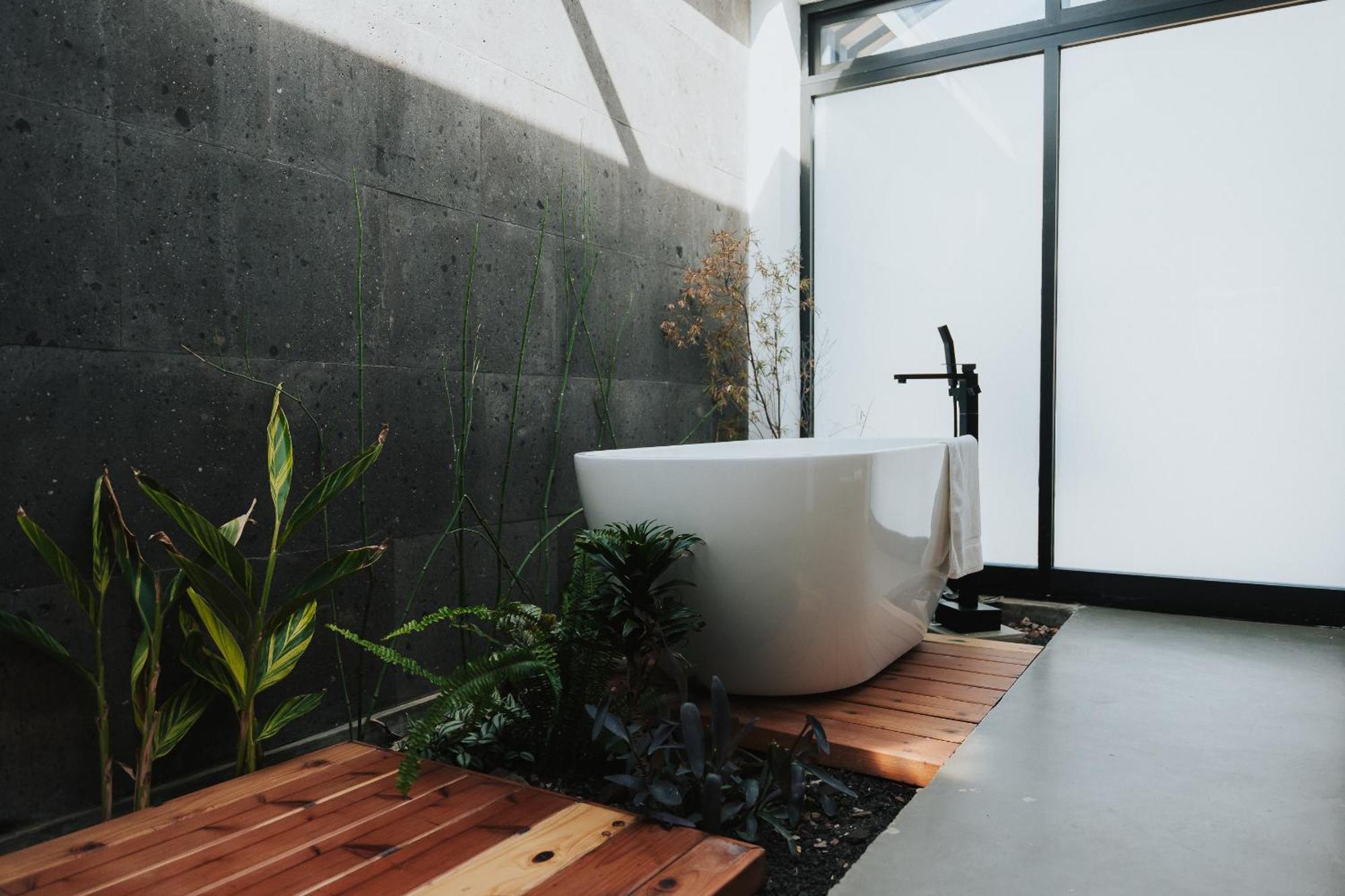 Bajo Estrellas Hotel Contemporaneo Valle de Guadalupe Ngoại thất bức ảnh